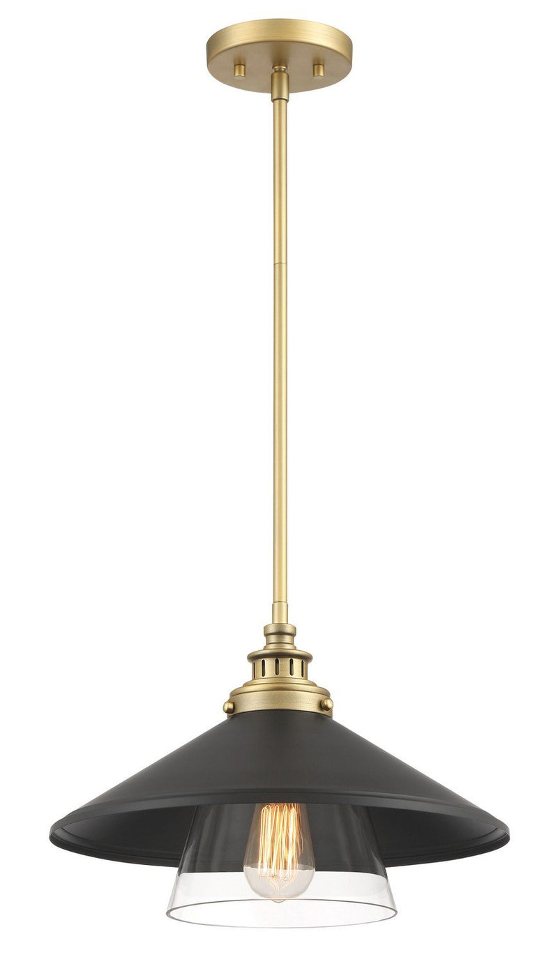 Segan Small Outdoor Pendant in Coal and Soft Brass