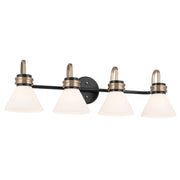 Farum 4-Light Bath Vanity Light in Black