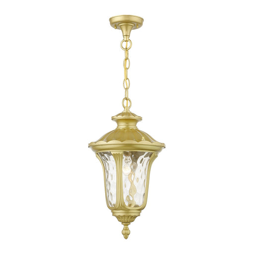7854-33- Oxford 1-Light Outdoor Pendant in Soft Gold by Livex Lighting