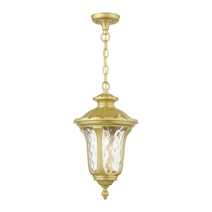 7854-33- Oxford 1-Light Outdoor Pendant in Soft Gold by Livex Lighting