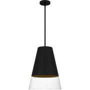 Peregrine Clear Glass Pendant in Brushed Black