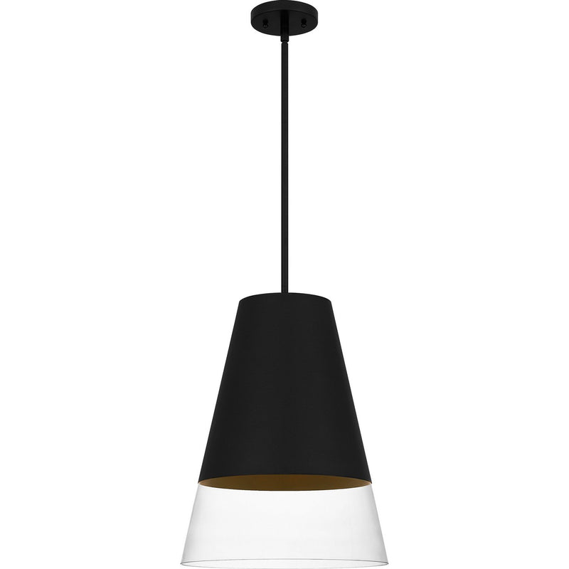 Peregrine Clear Glass Pendant in Brushed Black