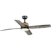 Shaffer Ii 56" Ceiling Fan in Matte Black