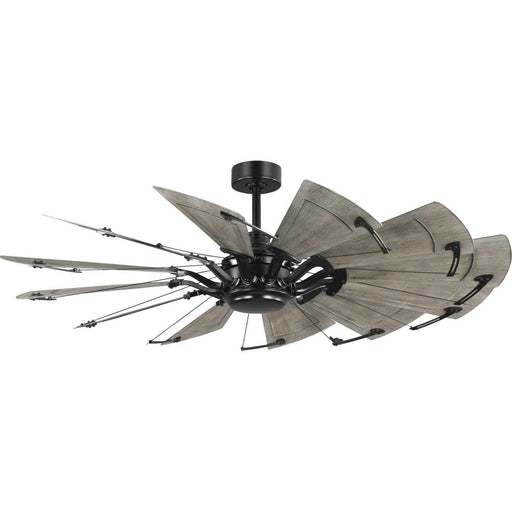 Springer II 60" Outdoor Ceiling Fan in Matte Black