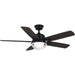 Tompkins 52" Ceiling Fan in Matte Black - Lamps Expo