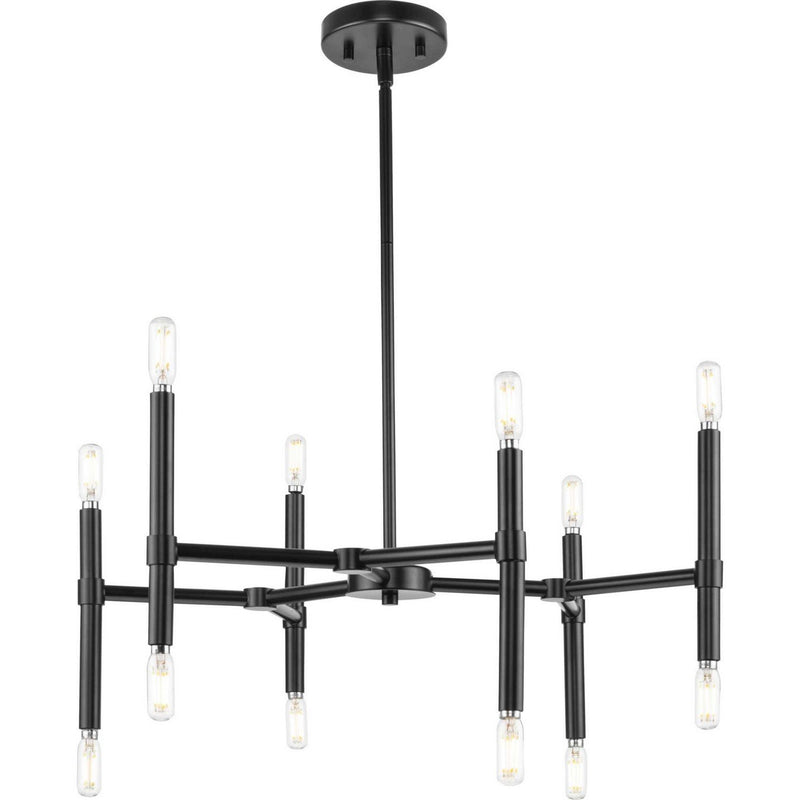 Arya 12-Light Chandelier in Matte Black
