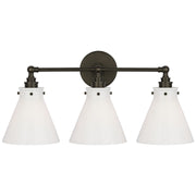 Parkington 24" 3-Light Bath Vanity Light in Bronze