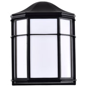 LED Cage Outdoor Wall Lantern in Black