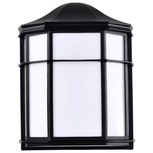 LED Cage Outdoor Wall Lantern in Black