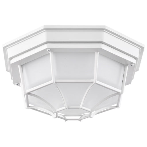 LED Spider Cage Outdoor Flush Mount in White