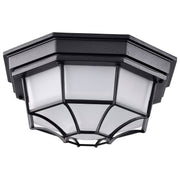 LED Spider Cage Outdoor Flush Mount in Black