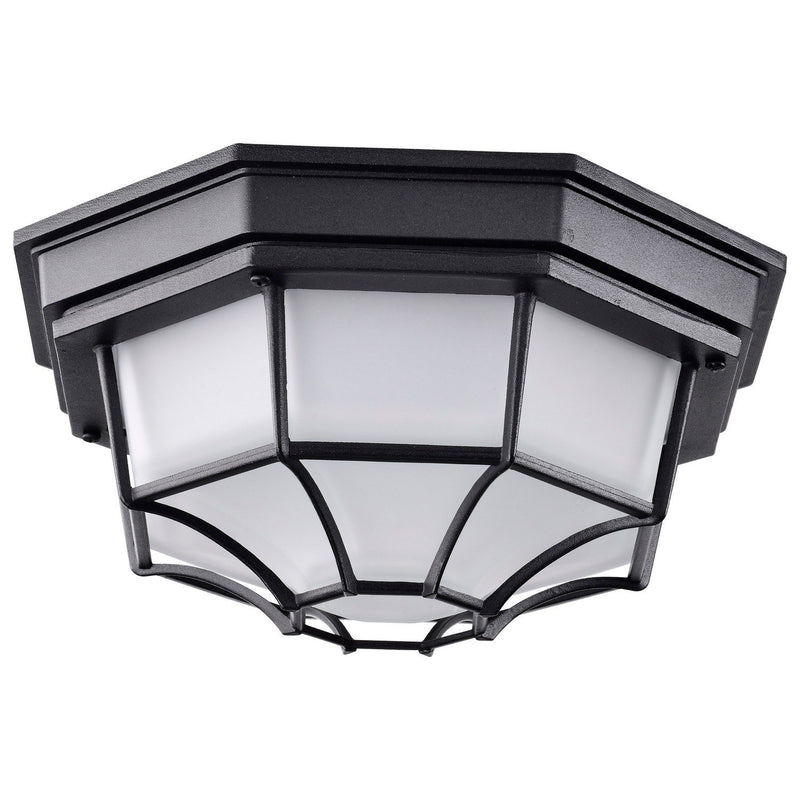 LED Spider Cage Outdoor Flush Mount in Black