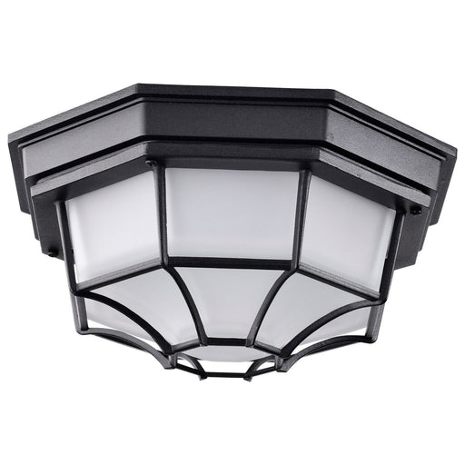 LED Spider Cage Outdoor Flush Mount in Black