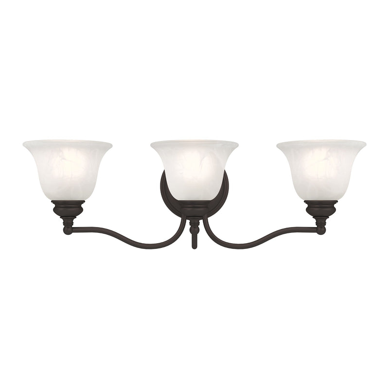 Essex 3-Light Bath Vanity Light in Bronze