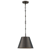 Alden 12" Pendant in Old Bronze
