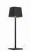 P1665-66A-L - Task Portables LED Table Lamp in Coal by George Kovacs