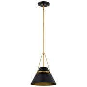 Adina 10" Mini Pendant in Matte Black