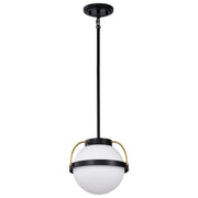 Lakeshore 10" Pendant in Matte Black