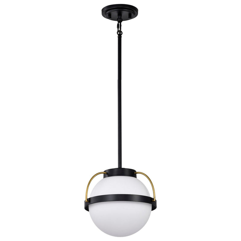 Lakeshore 10" Pendant in Matte Black