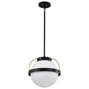 Lakeshore 18" Pendant in Matte Black