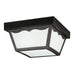 Outdoor Plastic Fixtures Outdoor Ceiling Light 2-Light in Black