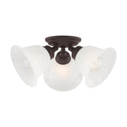 Essex 3-Light Semi-Flush Mount in Bronze