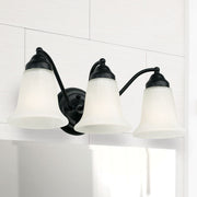Brady 3-Light Bath Vanity Light in Matte Black
