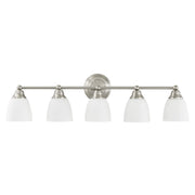 Somerville 5-Light Bath Vanity Light in Brushed Nickel