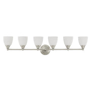 Somerville 6-Light Bath Vanity Light in Brushed Nickel
