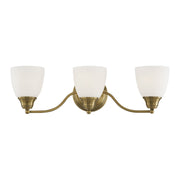Somerville 3-Light Armed Bath Vanity Light in Antique Brass