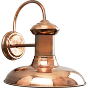 Brookside Large Outdoor Wall Sconce in Cognac
