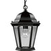 Welbourne One Light Hanging Lantern in Textured Black