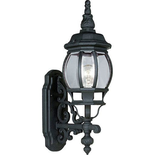 Onion Lantern One Light Wall Lantern in Textured Black