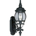 Onion Lantern One Light Wall Lantern in Textured Black
