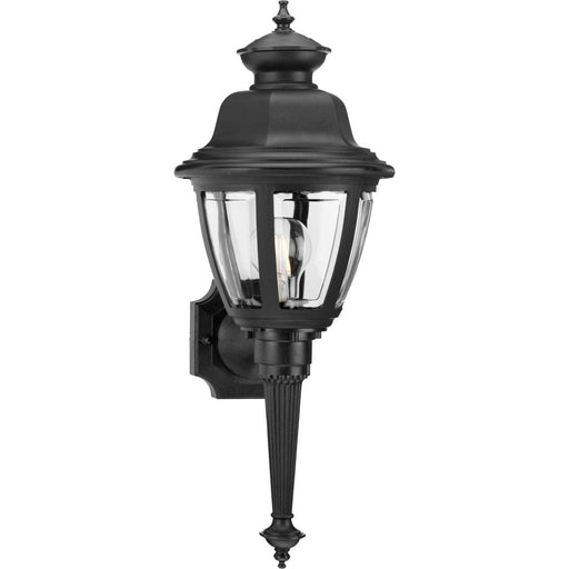 Non-Metallic Incandescent 21" Outdoor Wall Lantern in Black