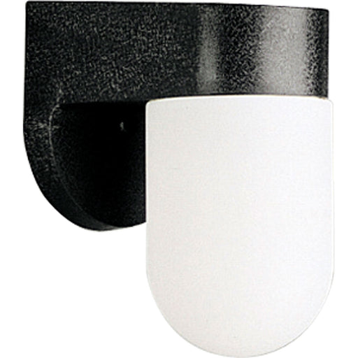 Polycarbonate Outdoor One Light Wall Lantern in Black