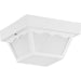 Ceiling Mount - Polycarbonate One Light Outdoor Flush Mount in White