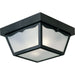 Ceiling Mount - Polycarbonate Two Light Outdoor Flush Mount in Black