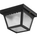 Ceiling Mount One Light Outdoor Flush Mount in Black