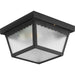 Ceiling Mount Two Light Outdoor Flush Mount in Black