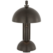 Dally 13" Desk Lamp in Bronze