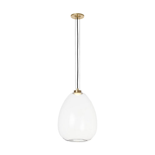 Kapoor Medium Pendant in Clear and Natural Brass