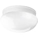 Fitter Two Light Flush Mount in White