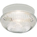 Fitter Two Light Flush Mount in White