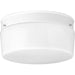 White Glass Two Light Flush Mount in White