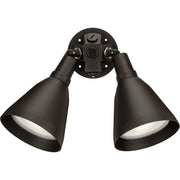 Par Lampholder 2-Light 22.5" Outdoor Flood Light in Antique Bronze