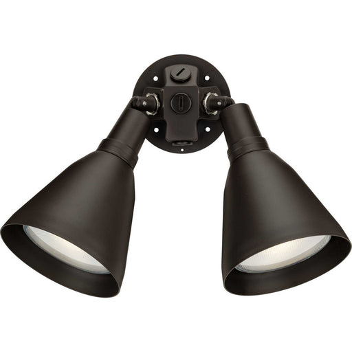 Par Lampholder 2-Light 22.5" Outdoor Flood Light in Antique Bronze