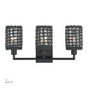 Twinewell 3-Light Bath Vanity Light in Black