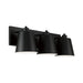 Alden 3-Light Vanity in Matte Black - Lamps Expo