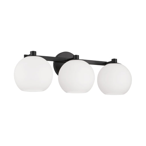 Ansley 3-Light Vanity in Matte Black - Lamps Expo
